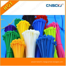 Zhejiang UL Nylon Cable Tie Price Low Cable Zip Tie